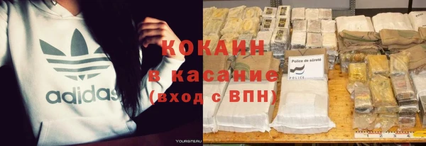 стафф Алексин