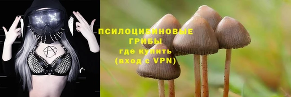 синтетический гашиш Беломорск