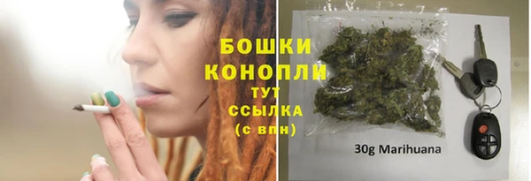 дмт Белокуриха