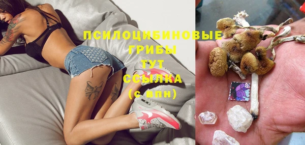 дмт Белокуриха