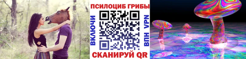 Псилоцибиновые грибы Psilocybine cubensis  МЕГА ссылка  Красный Кут 